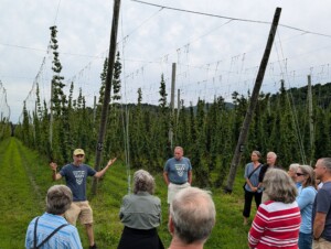Hops Yard introduction
